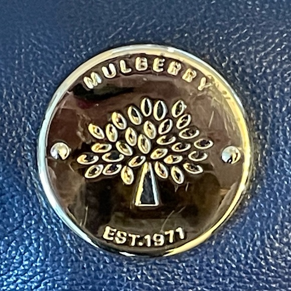 Mulberry Daria Purse *LIMITED EDITION* - Picture 4 of 10